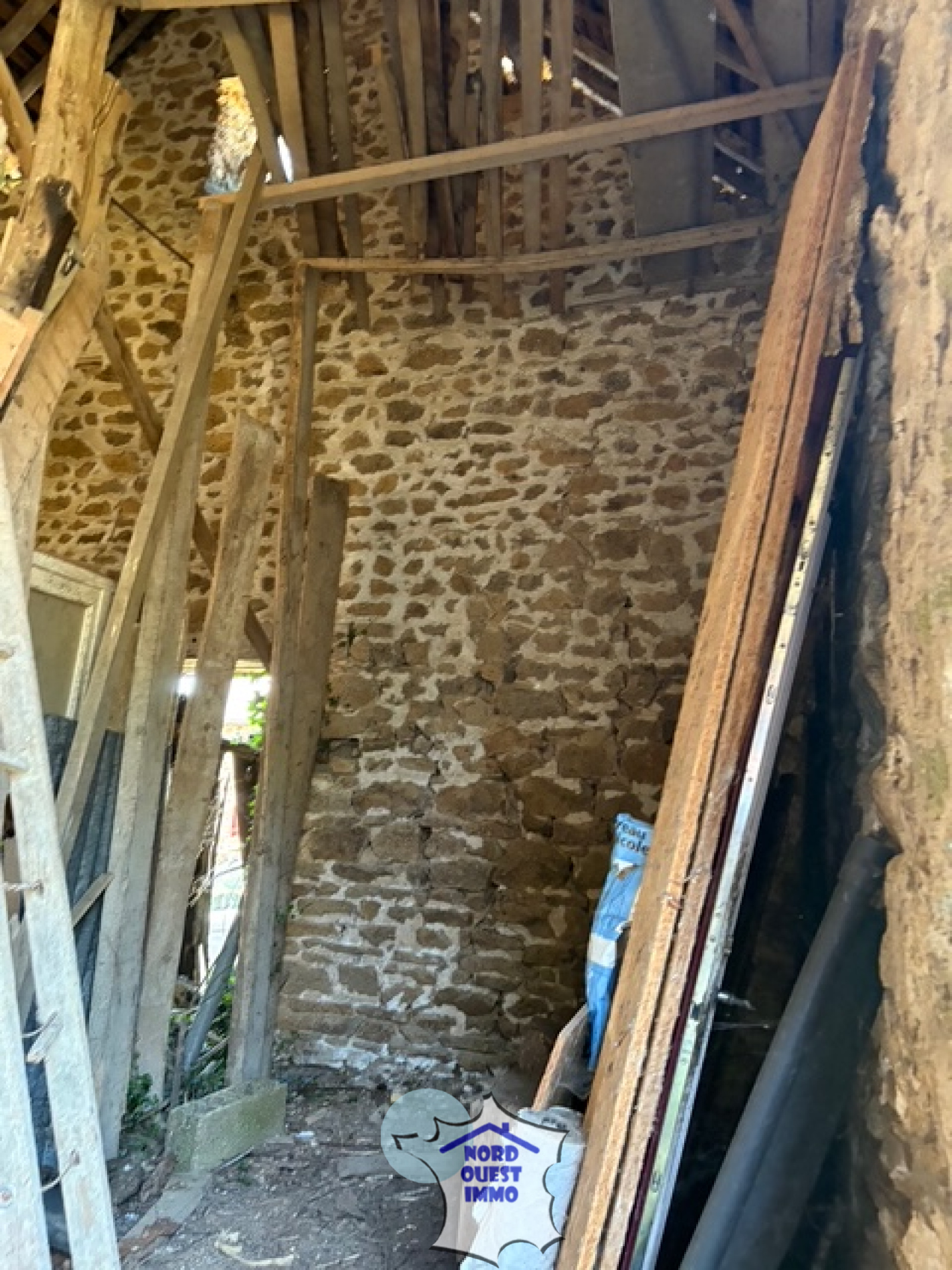 Image_, Maison, Oisseau, ref :4572
