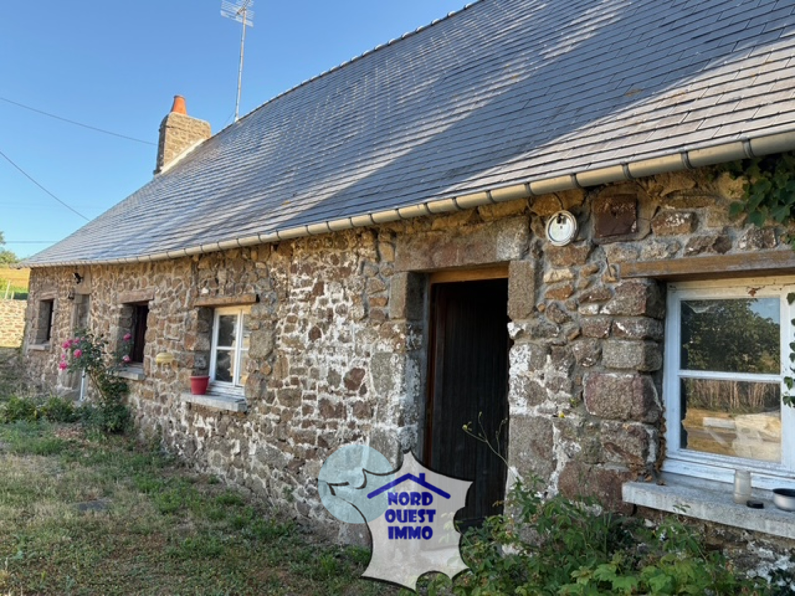 Image_, Maison, Oisseau, ref :4572