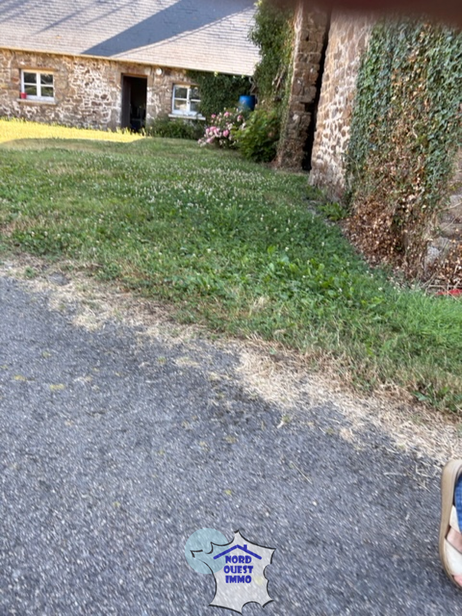 Image_, Maison, Oisseau, ref :4572
