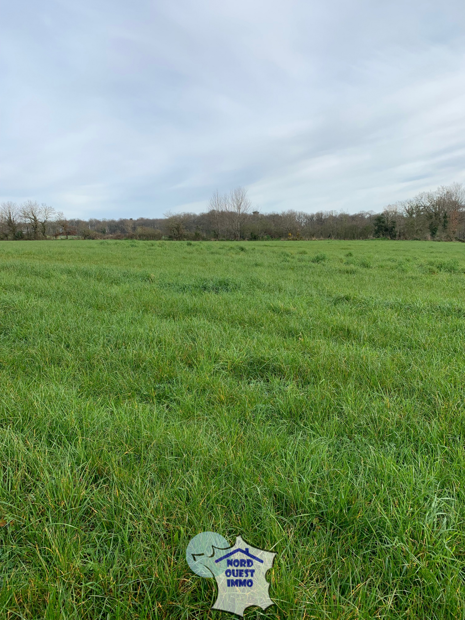 Image_, Terrain agricole, Saint-Fraimbault-de-Prières, ref :4311